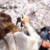 はるびより。