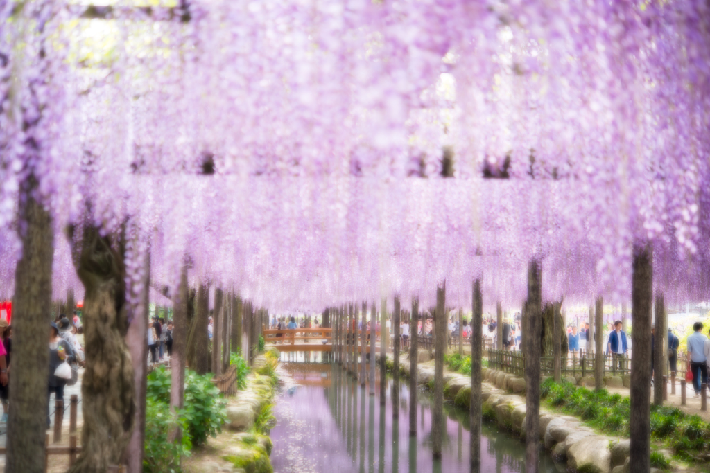 ほのぼのとした空間