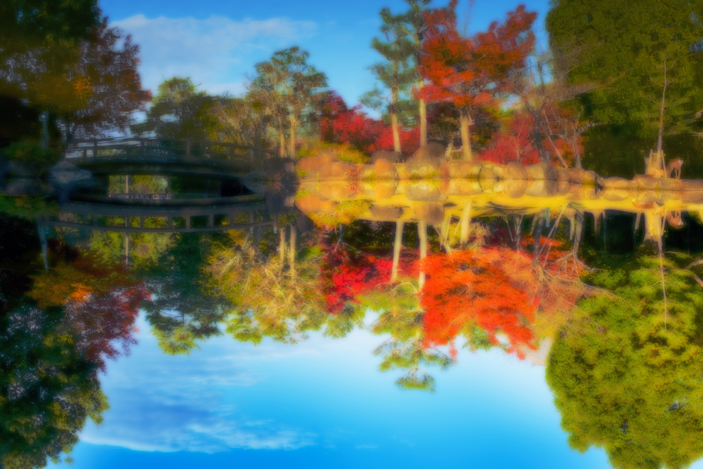イイ天気