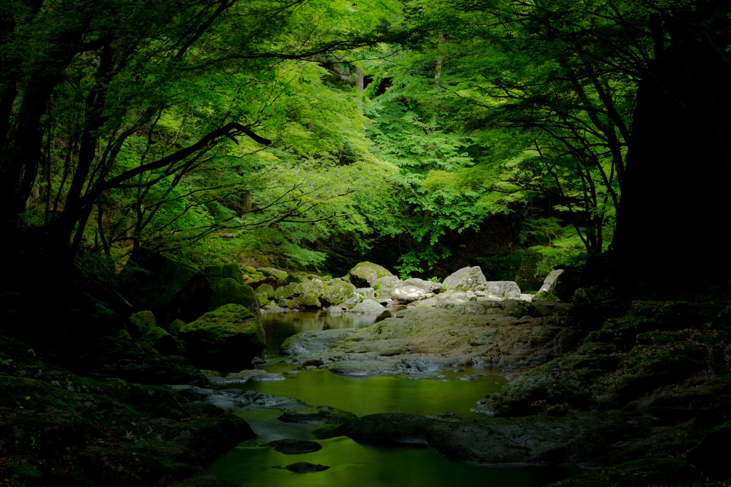 静