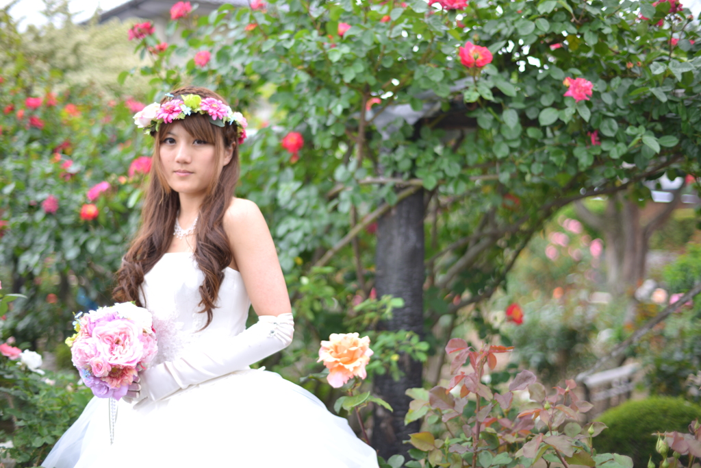 薔薇と花嫁