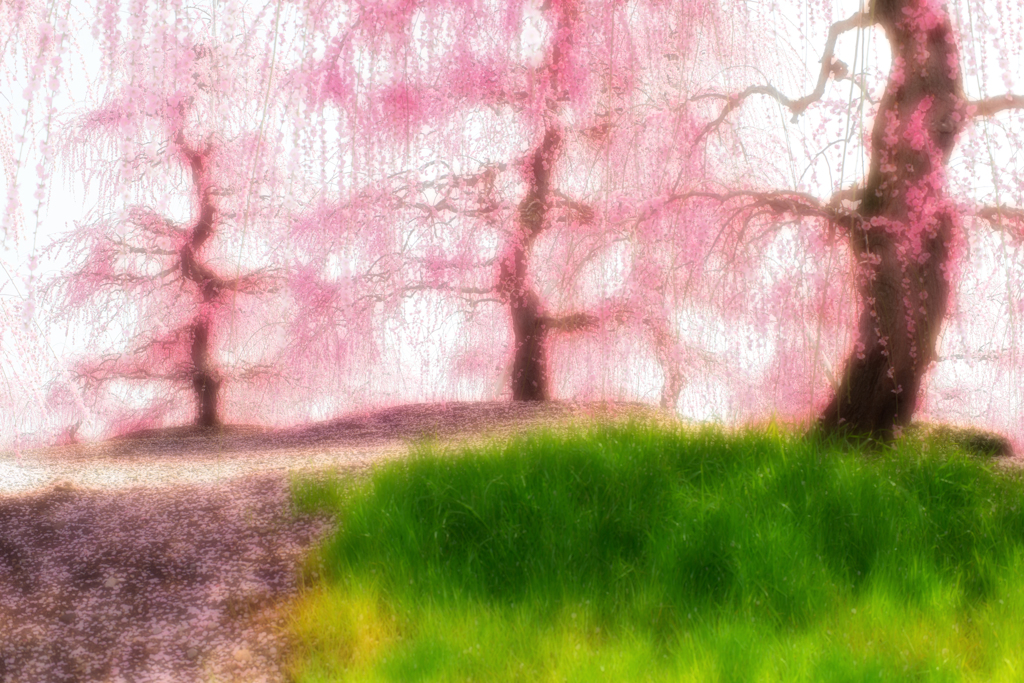 春色