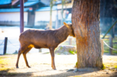 何やってんだ…