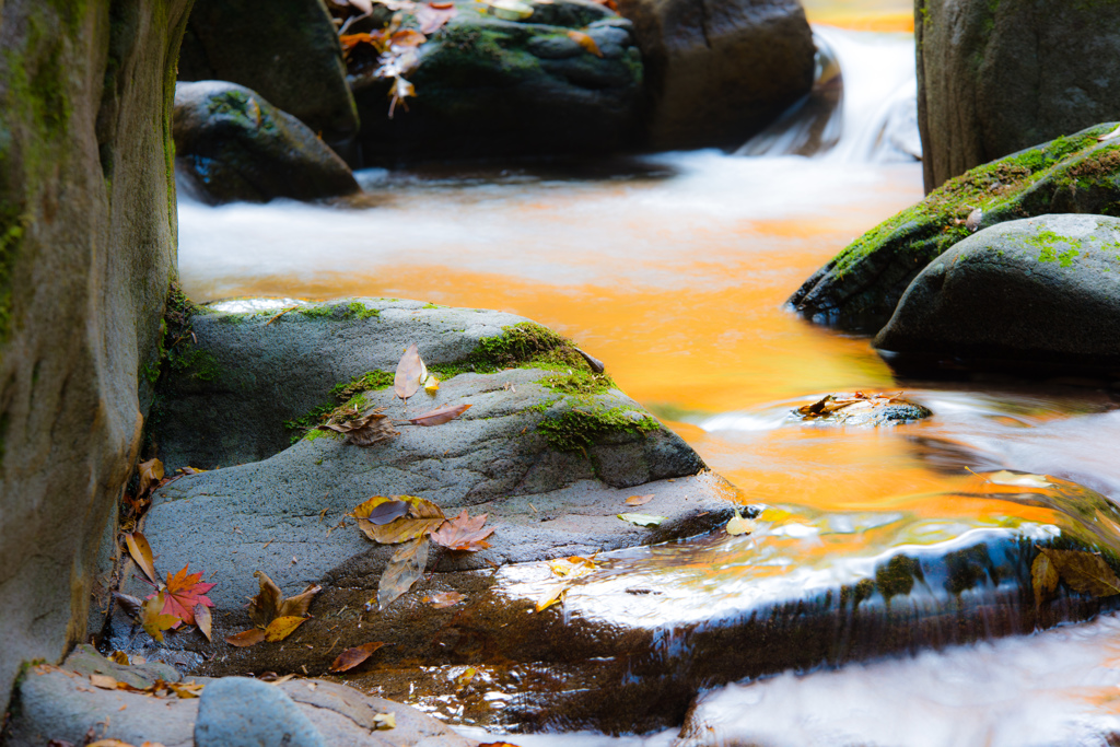 秋色に染まる水