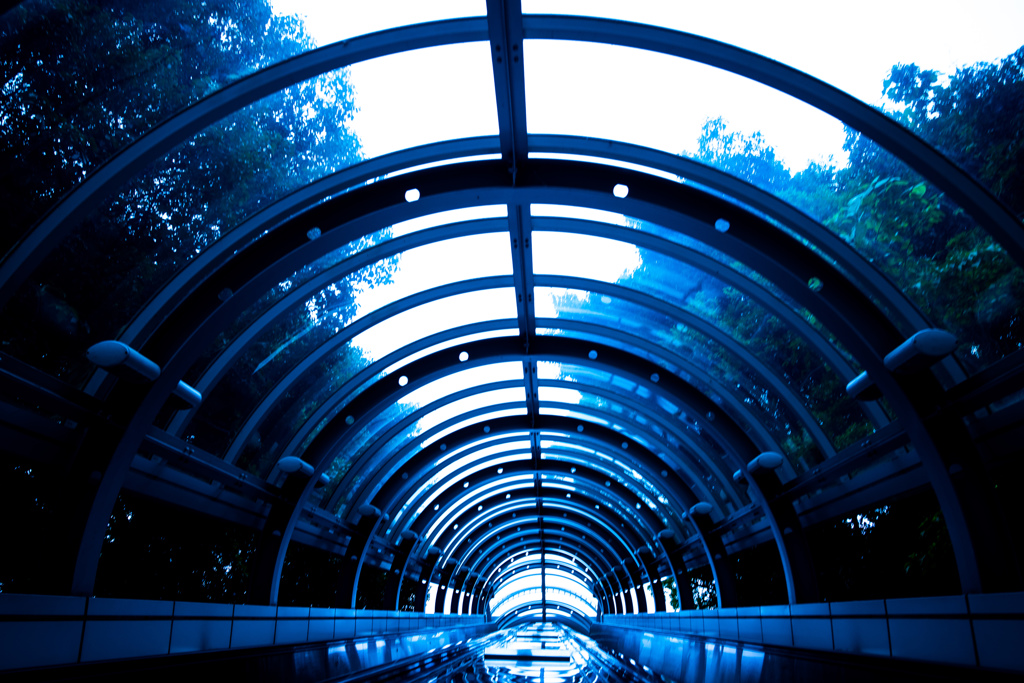 Sky Walk