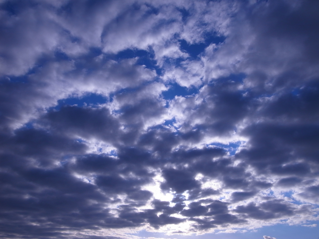 天井は空