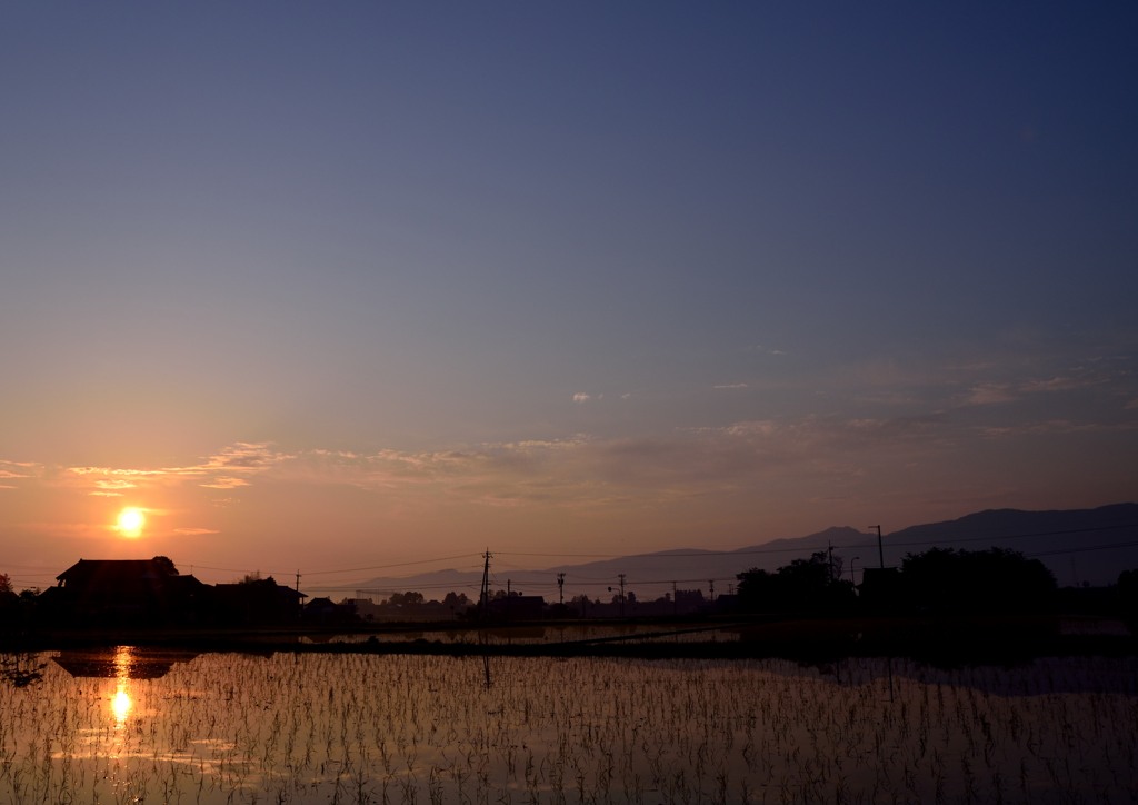 田舎の朝