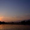 田舎の朝
