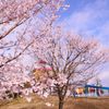 春の陽気