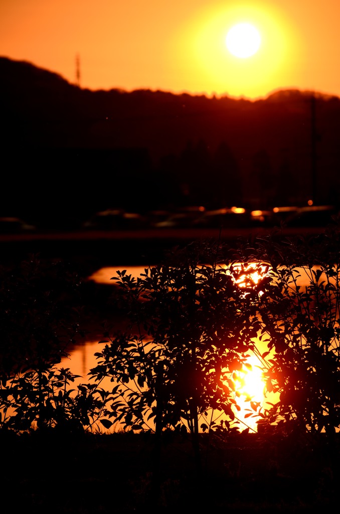 ある日の夕焼け