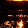ある日の夕焼け