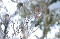 春の陽気