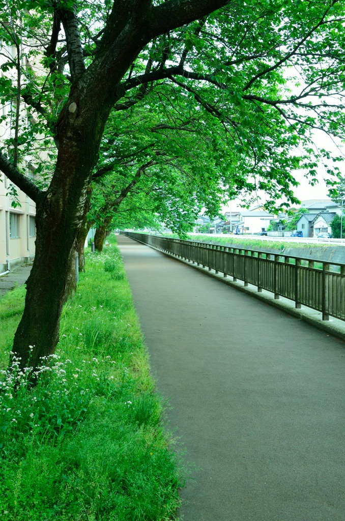 green road