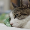 眠りの準備