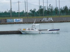 画像 263
