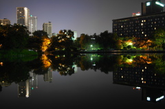 秋の中島公園