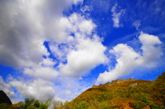 DSC07698