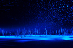 ＢｌｕｅＰｏｎｄ