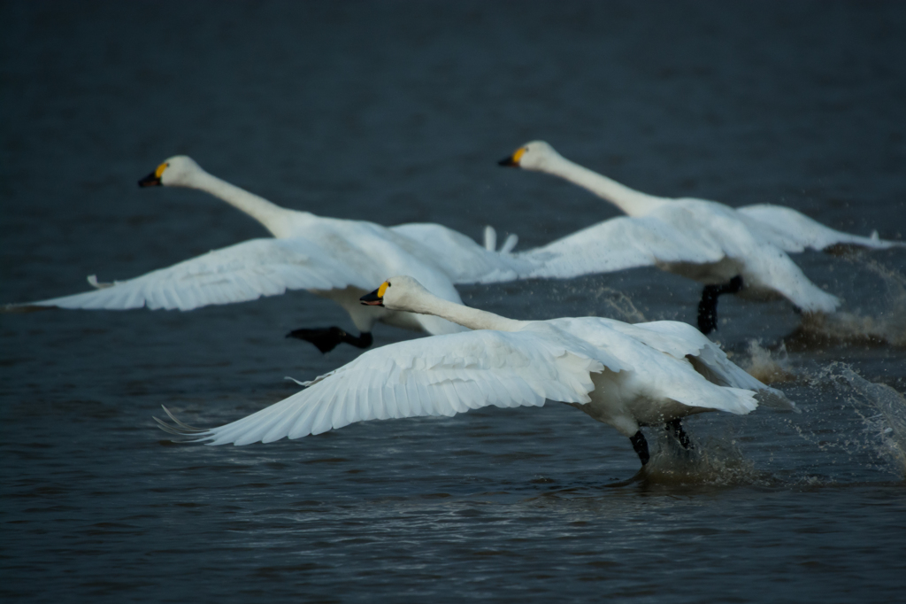 Synchronized Running