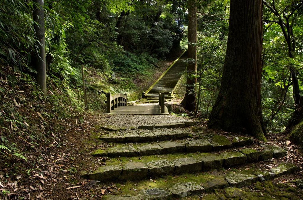 緑の参道～華蔵寺