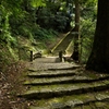 緑の参道～華蔵寺