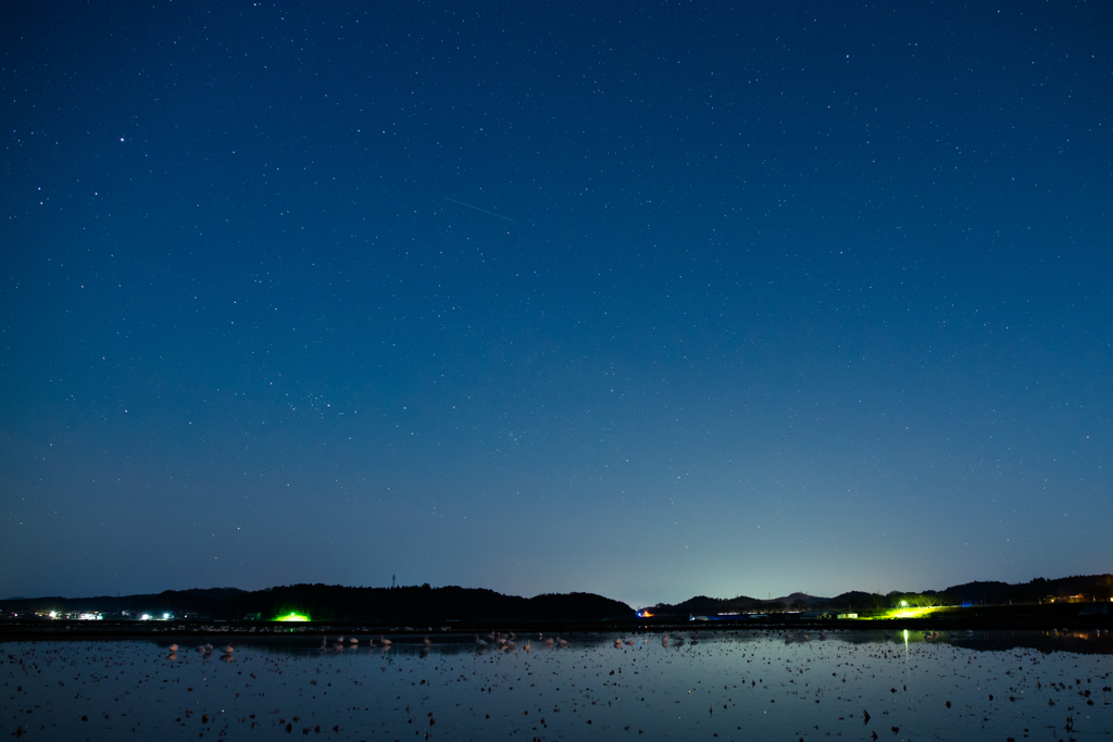 流れ星一つ