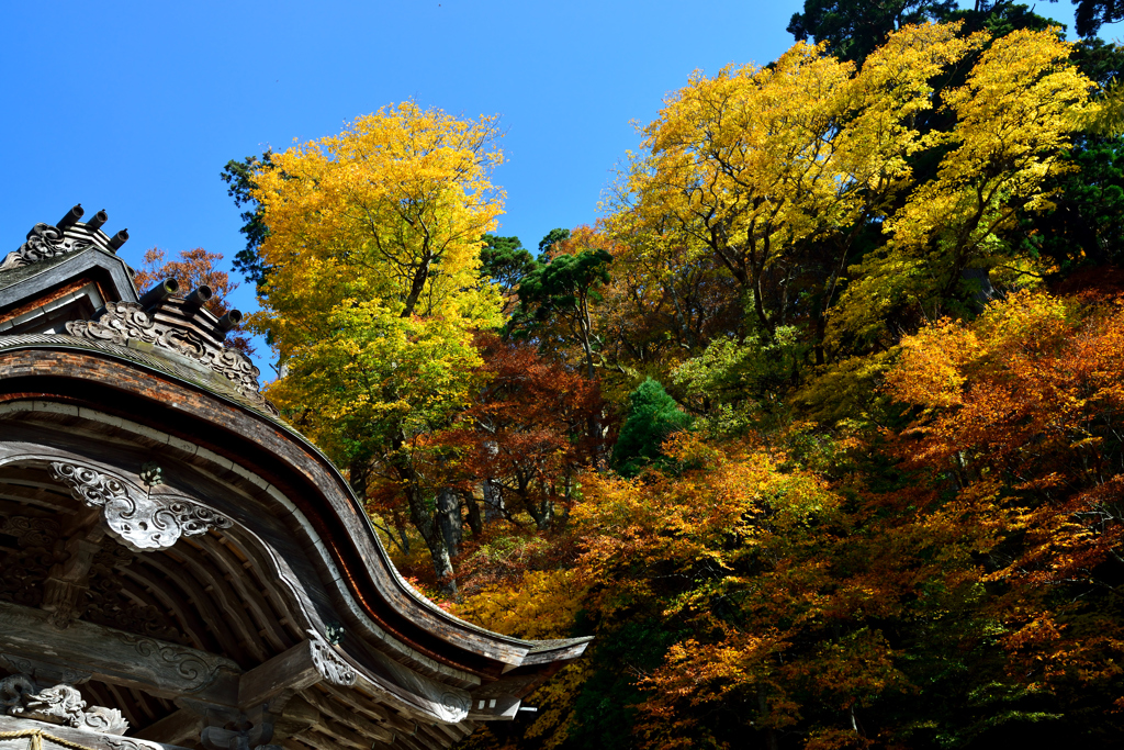 下山神社　紅葉