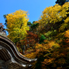 下山神社　紅葉