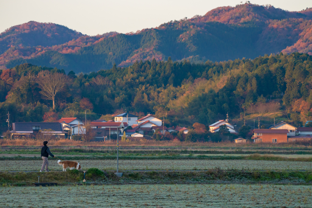 晩秋の農村風景