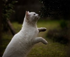 何が見える？