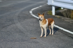 光を失わないで