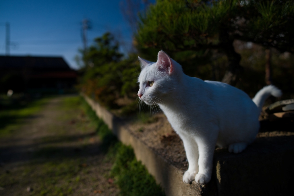 その表情