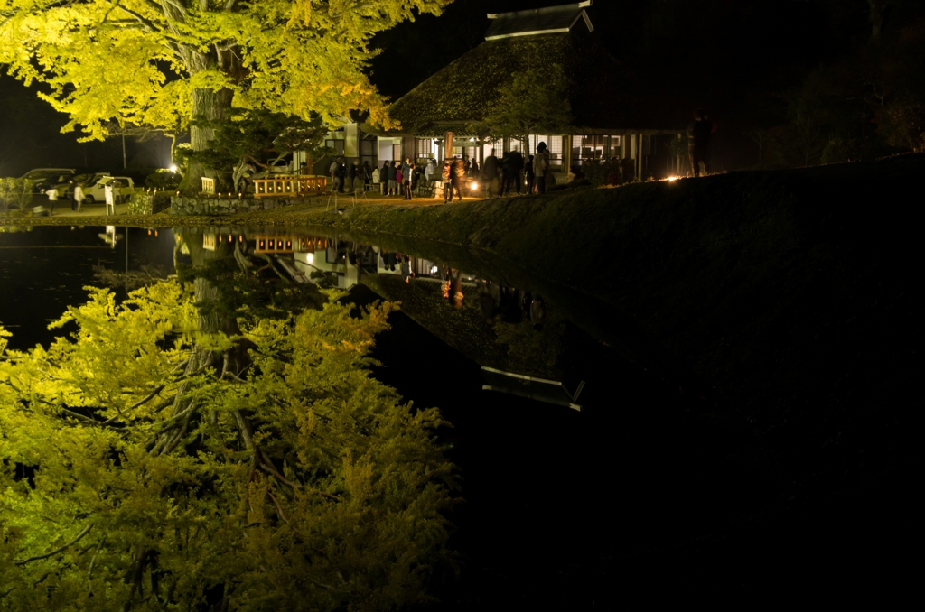秋の夜に集う