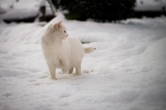 雪遊び②