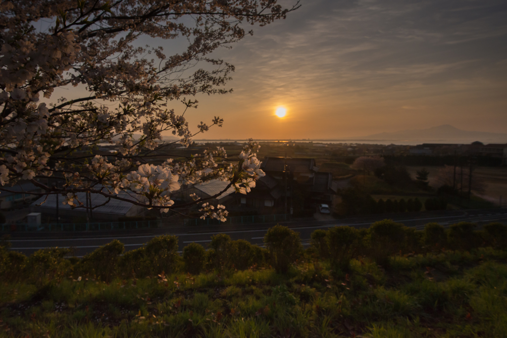 桜のある風景