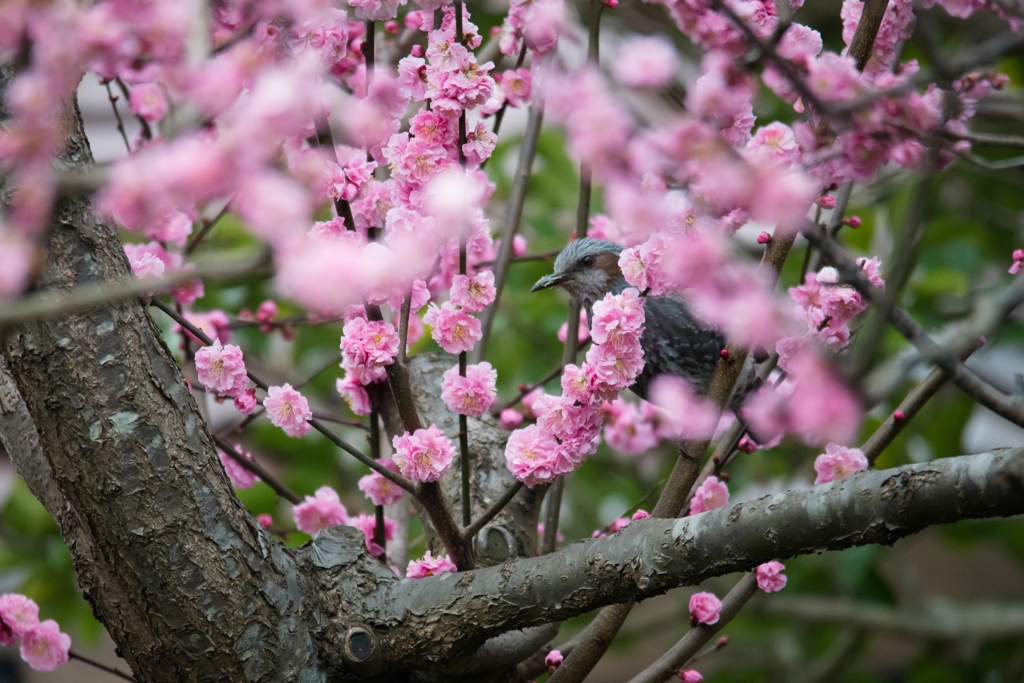 春の窓から