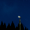 星降る夜
