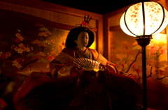 夜雛
