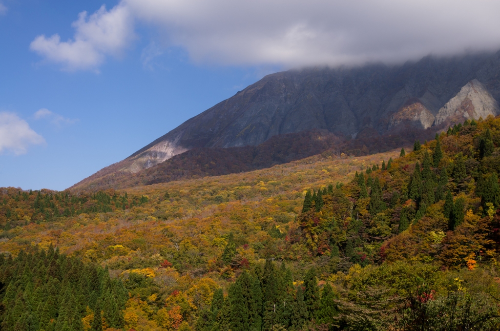 大山(鍵掛峠)の紅葉、現状レポート