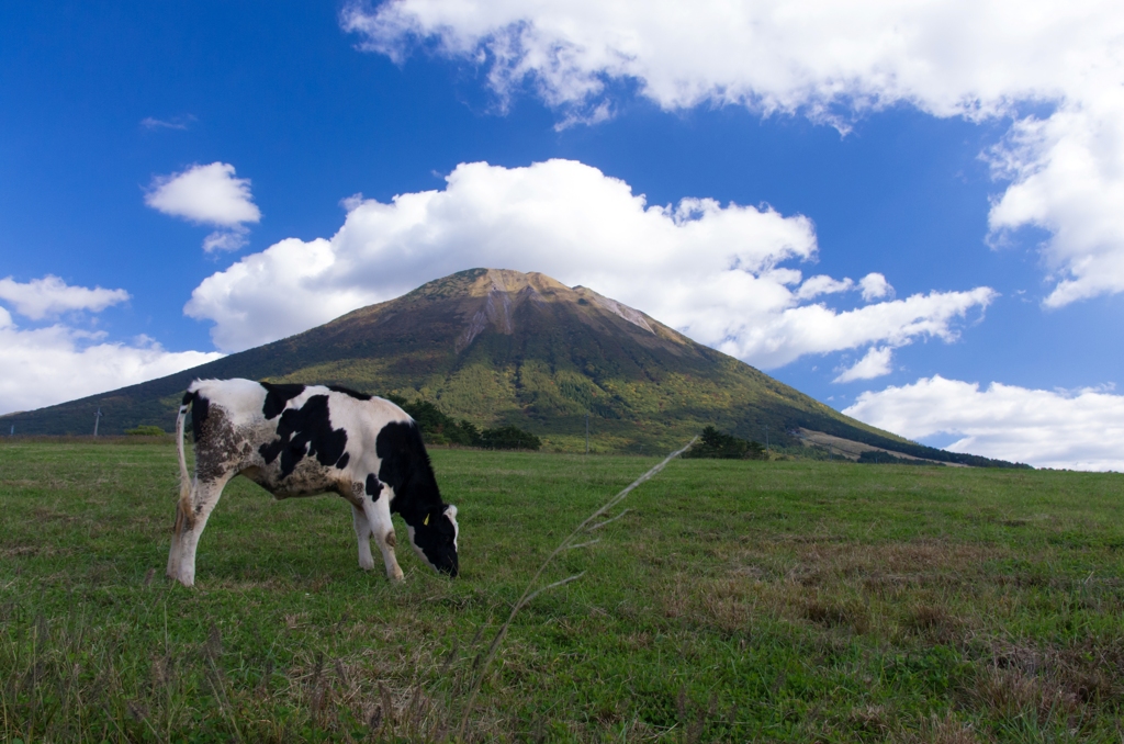 大山まきば