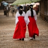 雨もまた楽し