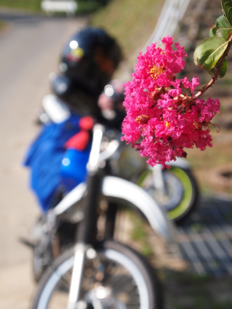 旅路