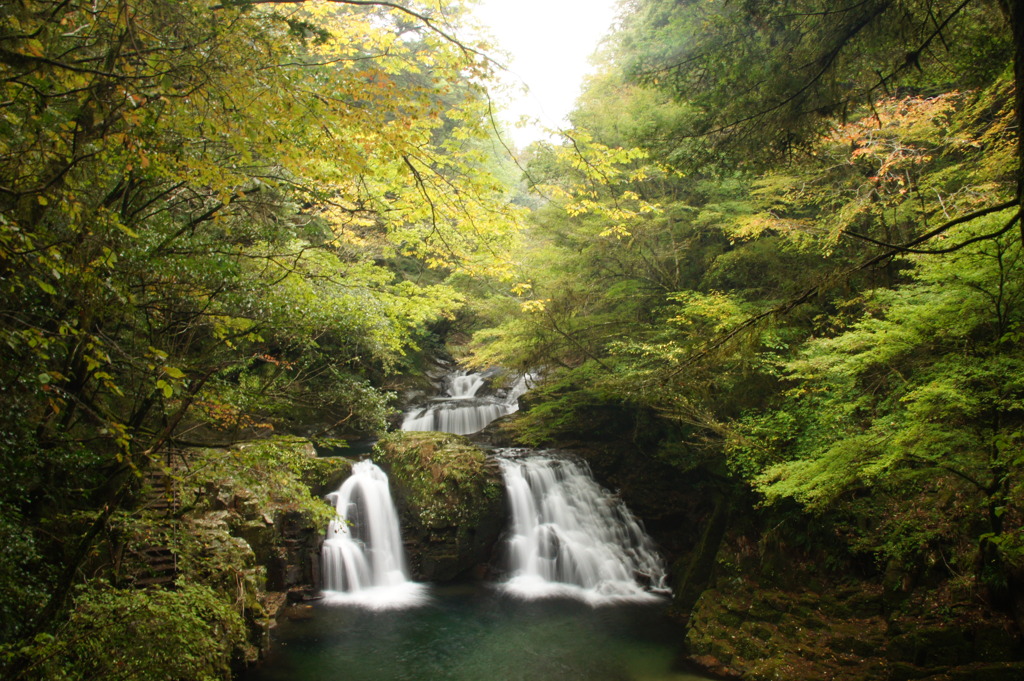 紅葉はまだ遠く…