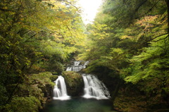 紅葉はまだ遠く…