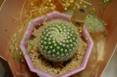 Test2