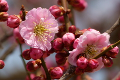 2012春-002