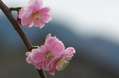 2012春-004