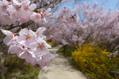 2012春-032
