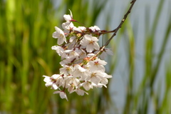 2012春-016