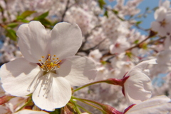 2012春-017